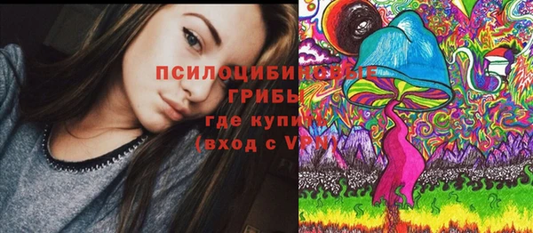 крисы Абаза