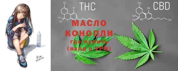 крисы Абаза