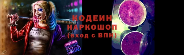 крисы Абаза