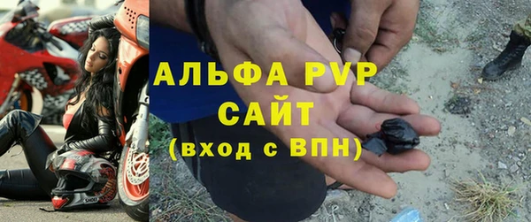 крисы Абаза