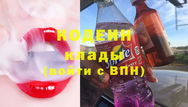 крисы Абаза