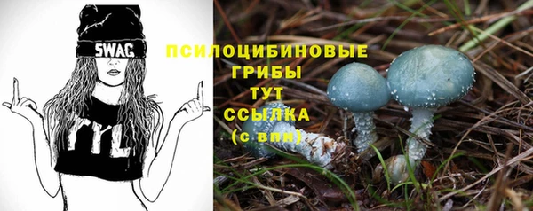 крисы Абаза
